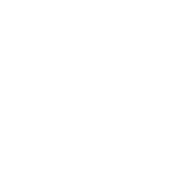 team icon